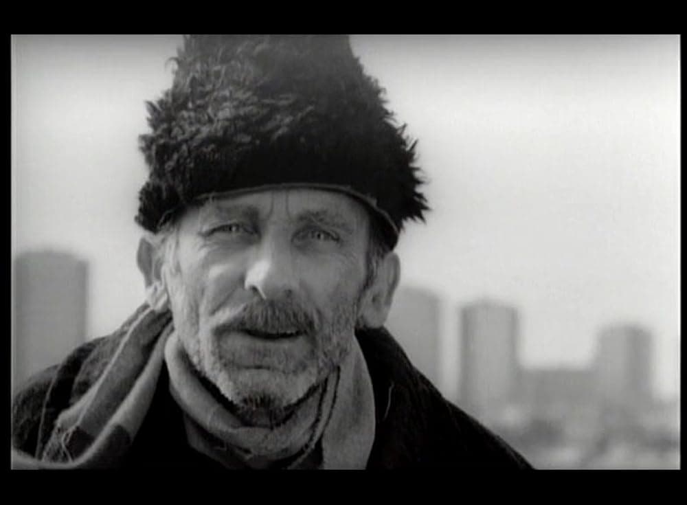 Vojislava Mićovića